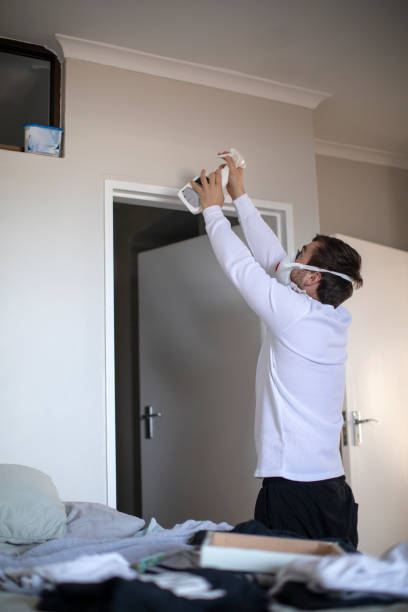 Best Mold Odor Removal Services  in Hominy, OK