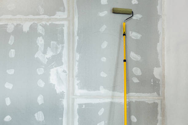 Best Basement Mold Removal  in Hominy, OK