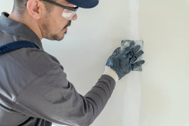 Best Industrial Mold Remediation  in Hominy, OK