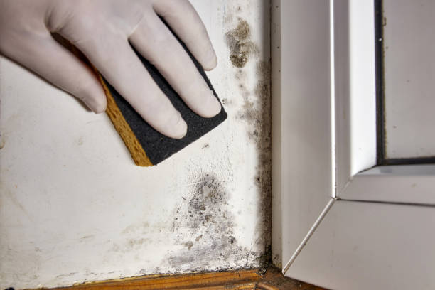 Best Dehumidification Services  in Hominy, OK