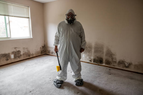 Best Forensic Mold Investigation  in Hominy, OK