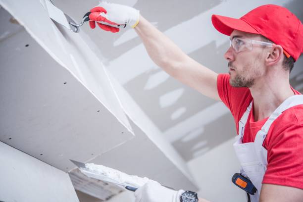Best Real Estate Mold Inspection  in Hominy, OK